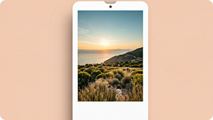 Video to LivePhoto
